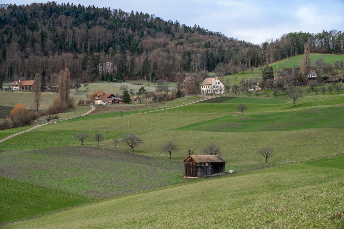 Elk Grove California